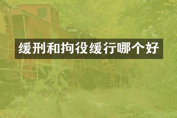 缓刑和拘役缓行哪个好
