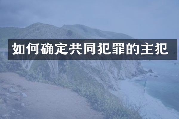 如何确定共同犯罪的