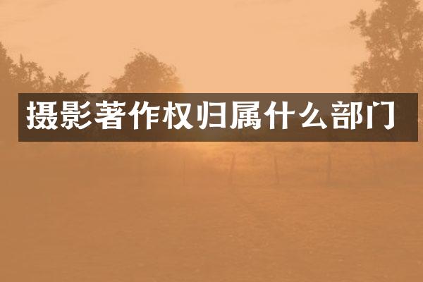 摄影著作权归部门