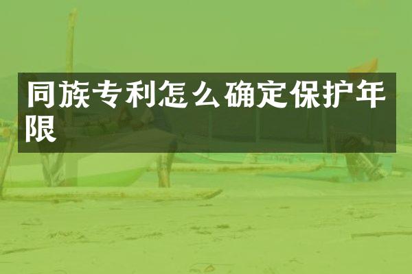 同族专利怎么确定保护年限