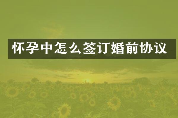 怀孕中怎么签订婚前协议