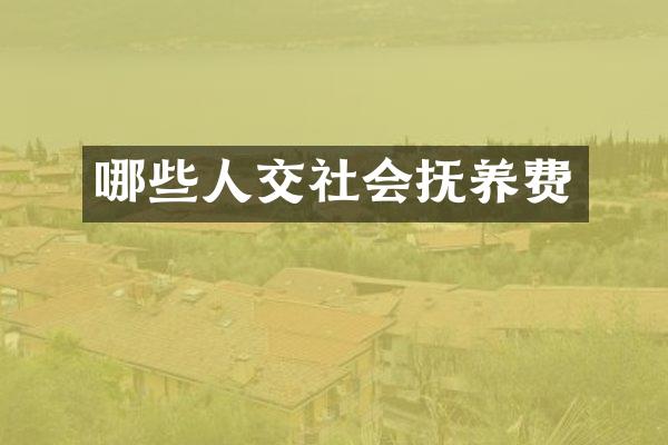 哪些社会抚养费