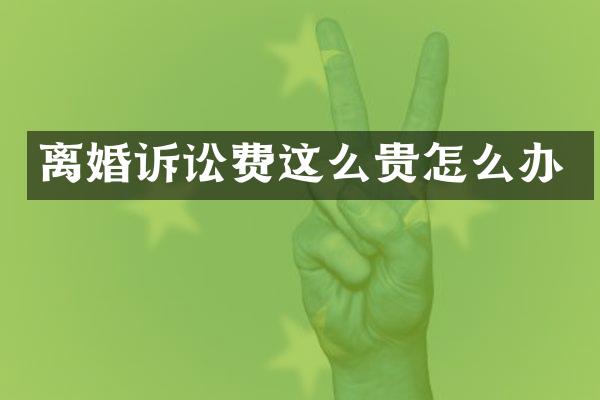 离婚诉讼费这么贵怎么办