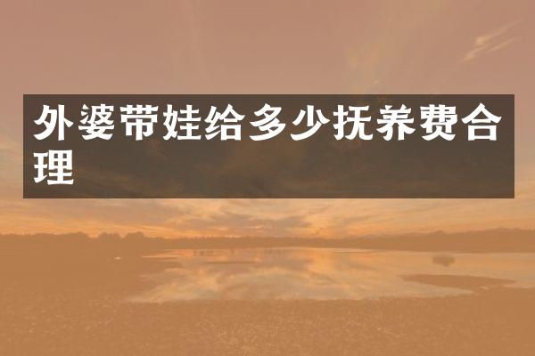 外婆带娃给多少抚养费合理