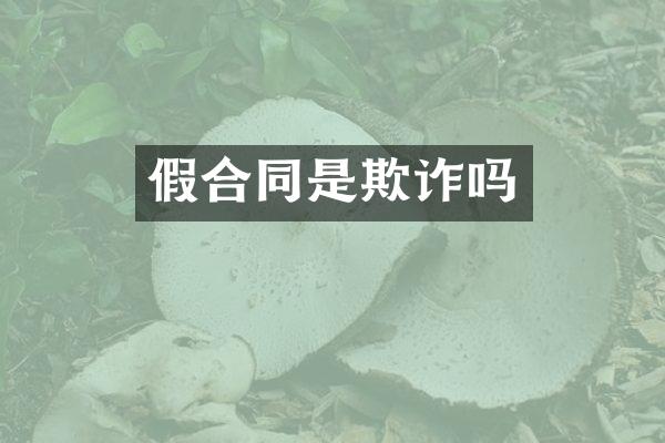 假合同是欺诈吗