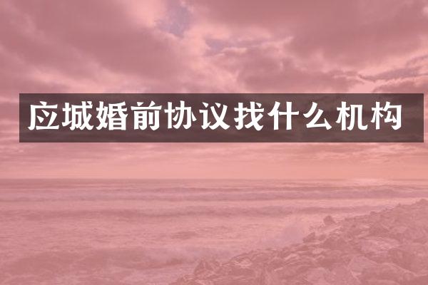 应城婚前协议找什么机构