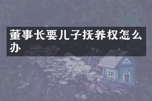 董事长要儿子抚养权怎么办