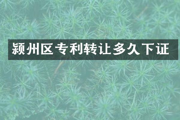 颍州区专利转让多久下证