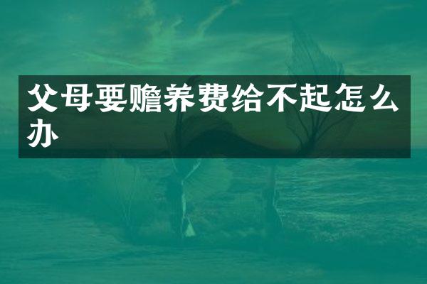 父母要赡养费给不起怎么办