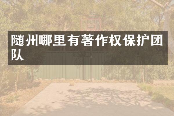 随州哪里有著作权保护团队