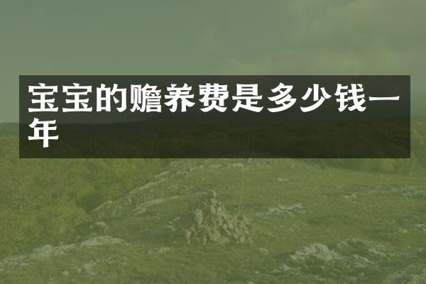 宝宝的赡养费是多少钱一年