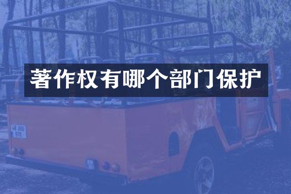 著作权有哪个部门保护
