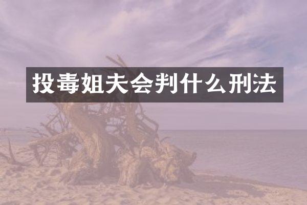 投毒姐夫会判什么刑法