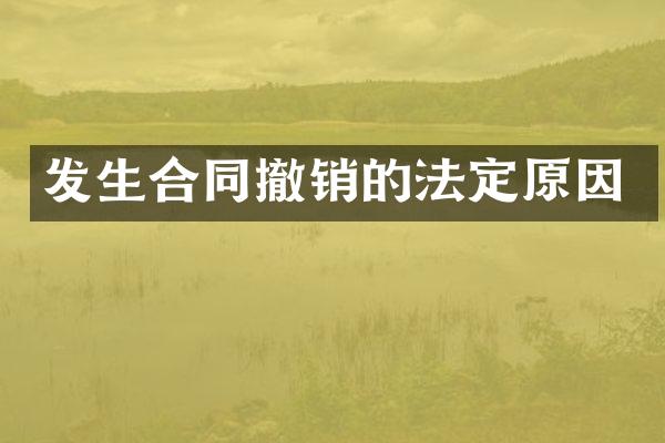 发生合同撤销的法定原因