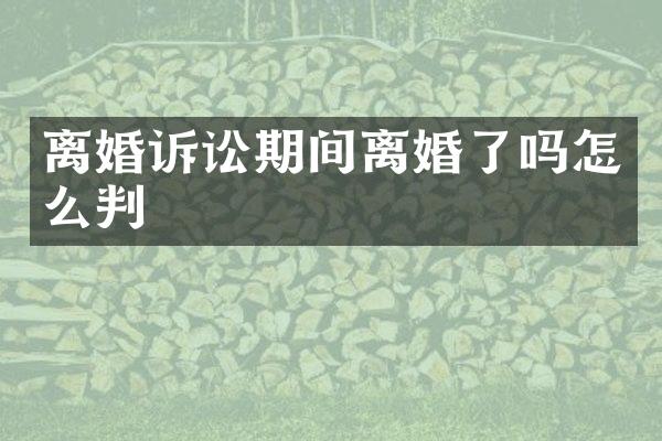 离婚诉讼期间离婚了吗怎么判