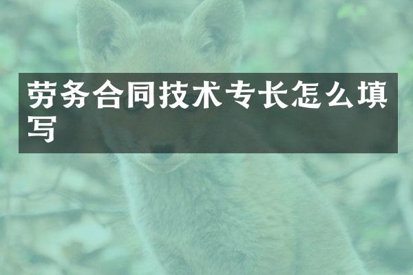 劳务合同技术专长怎么填写