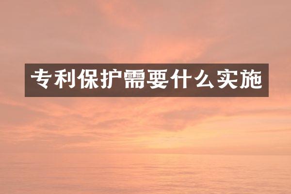 专利保护需要什么实施