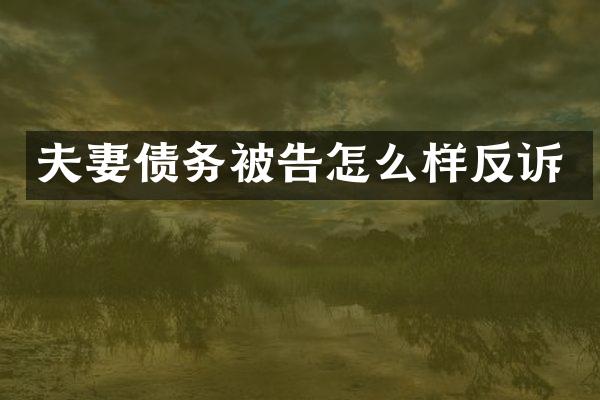 夫妻债务被告怎么样反诉
