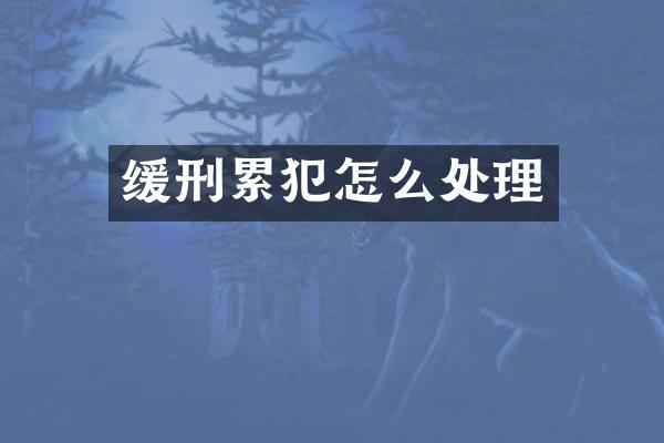 缓刑怎么处理