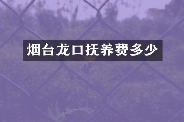 烟台龙口抚养费多少