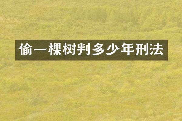 偷一棵树判多少年刑法