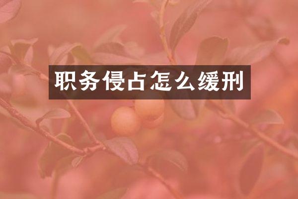 职务侵占怎么缓刑