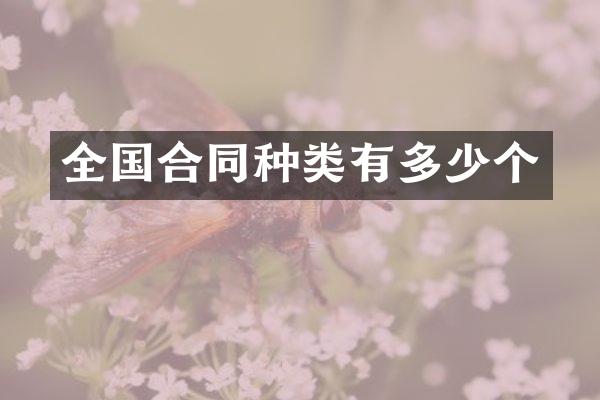 全国合同种类有多少个