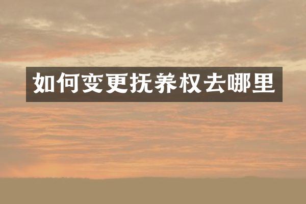 如何变更抚养权去哪里