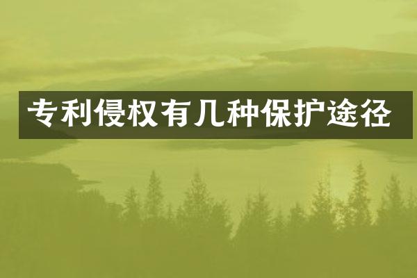 专利侵权有几种保护途径