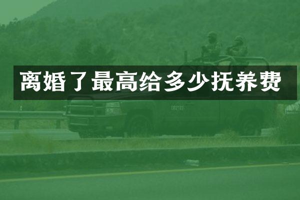 离婚了最高给多少抚养费