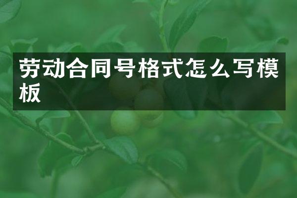 劳动合同号格式怎么写模板