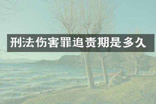 刑法伤害罪追责期是多久