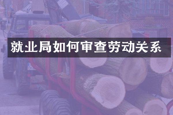 就业局如何审查劳动关系