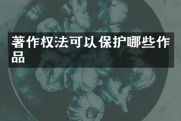 著作权法可以保护哪些作品