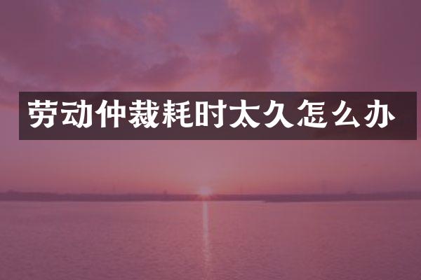 劳动仲裁耗时太久怎么办