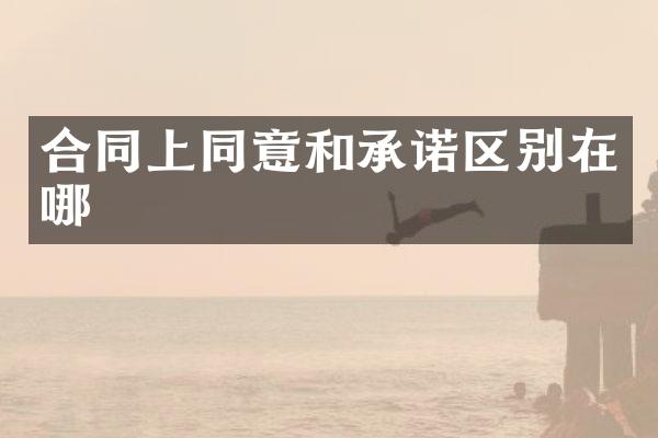 合同上同意和承诺区别在哪