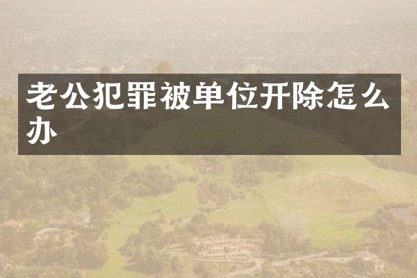 老公犯罪被单位开除怎么办