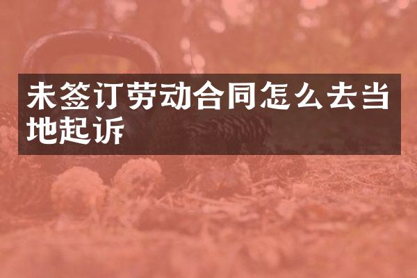 未签订劳动合同怎么去当地起诉
