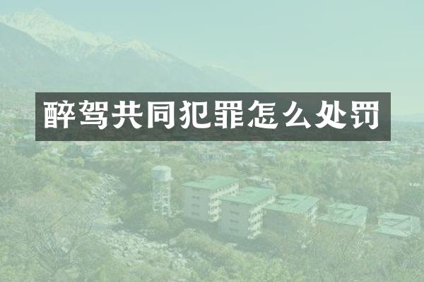醉驾共同犯罪怎么处罚