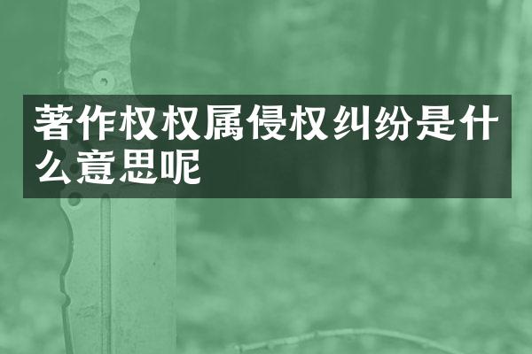 著作权权属侵权纠纷是什么意思呢