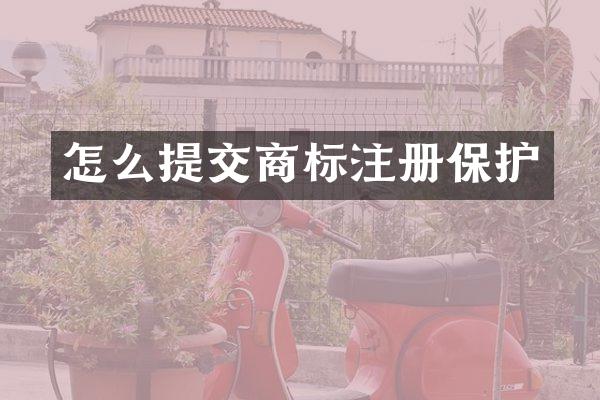 怎么提交商标注册保护