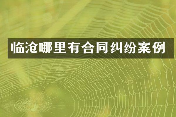 临沧哪里有合同纠纷案例