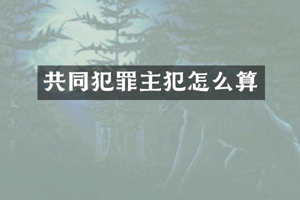 共同犯罪怎么算