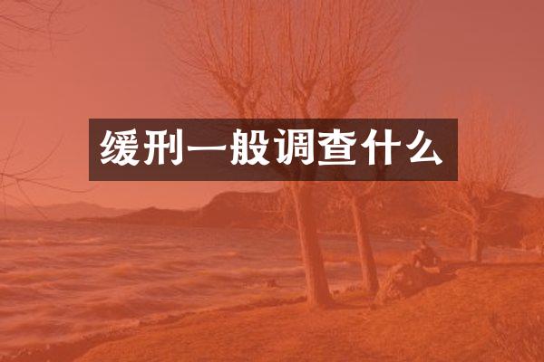 缓刑一般调查什么
