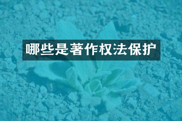 哪些是著作权法保护
