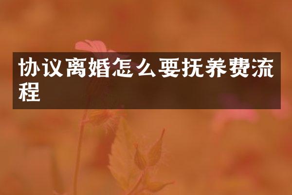 协议离婚怎么要抚养费流程