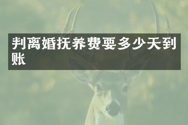 判离婚抚养费要多少天到账
