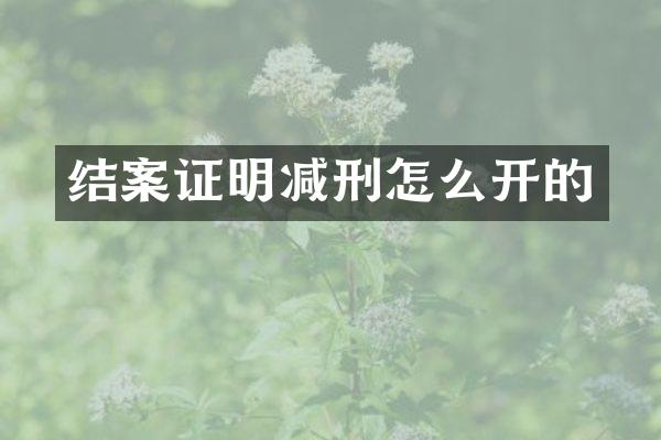 结案证明减刑怎么开的