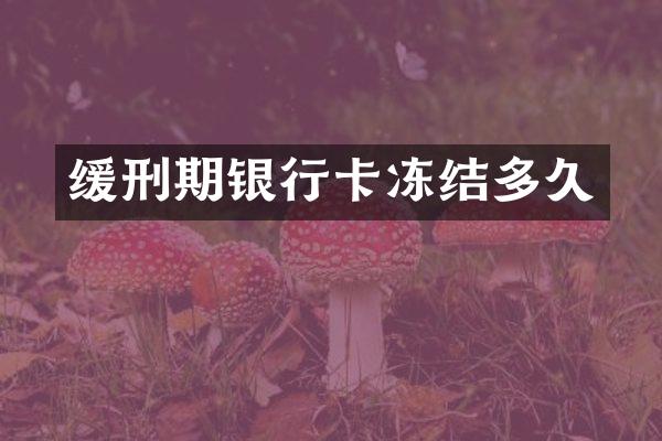 缓刑期银行卡冻结多久