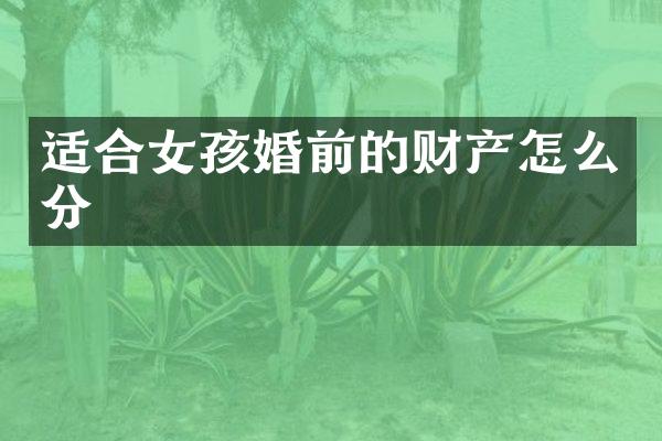 适合女孩婚前的财产怎么分